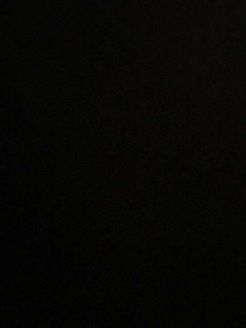 Ren